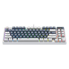 Mechanical Gaming Keyboard Havit KB884L white цена и информация | Клавиатуры | 220.lv