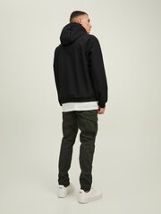 Ветровкa Jack & Jones цена и информация | Мужские куртки | 220.lv