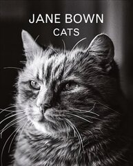 Jane Bown: Cats Main cena un informācija | Grāmatas par veselīgu dzīvesveidu un uzturu | 220.lv