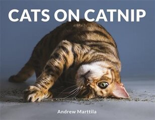 Cats on Catnip cena un informācija | Grāmatas par veselīgu dzīvesveidu un uzturu | 220.lv