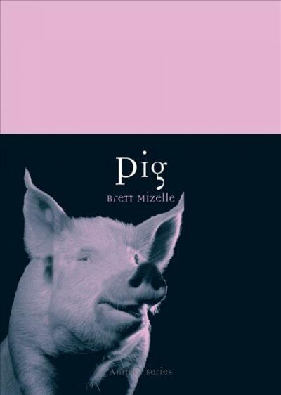 Pig цена и информация | Grāmatas par veselīgu dzīvesveidu un uzturu | 220.lv
