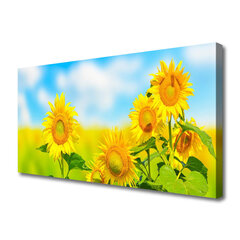 Reprodukcija Saulespuķes cena un informācija | Gleznas | 220.lv
