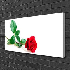 Картина Роза цена и информация | Картины | 220.lv