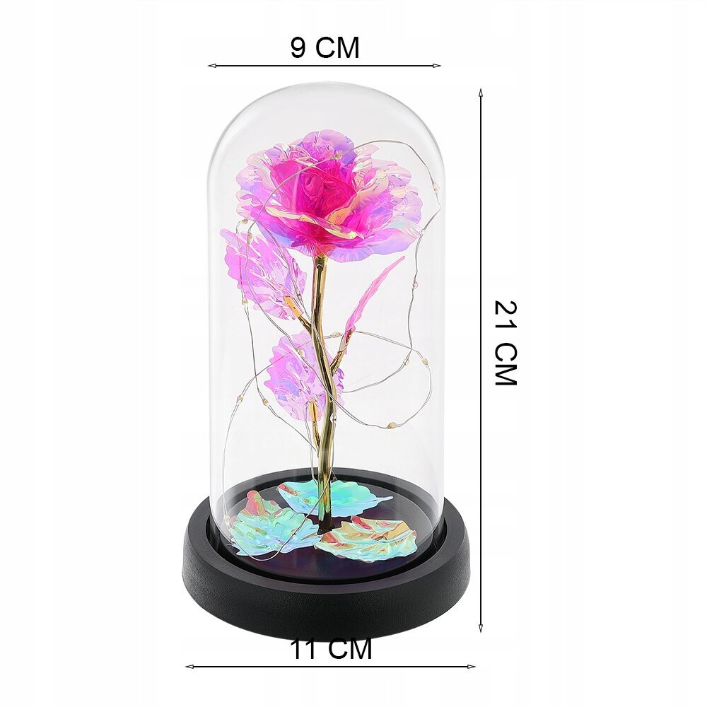 Kristāla roze zem kupola ar fona apgaismojumu, 22 cm cena un informācija | Stabilizētās rozes, augi | 220.lv