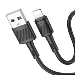 Hoco USB-C/Lightning, 1 m cena un informācija | Kabeļi un vadi | 220.lv