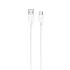 Pavareal USB/Type-C, 1 m цена и информация | Кабели и провода | 220.lv