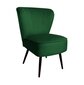 Auduma krēsls, Venecia Decorates, zaļš cena un informācija | Atpūtas krēsli | 220.lv
