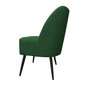 Auduma krēsls, Monaco Decorates, zaļš cena un informācija | Atpūtas krēsli | 220.lv