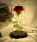 Mūžīgā roze stiklā ar LED gaismu, sarkana cena un informācija | Stabilizētās rozes, augi | 220.lv