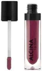 Lūpu spīdum Alcina Make Up Lipgloss Shiny Plum, 5 ml cena un informācija | Lūpu krāsas, balzāmi, spīdumi, vazelīns | 220.lv