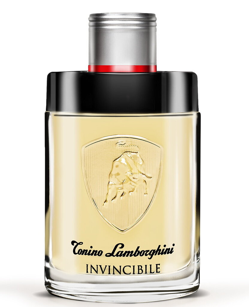 Tualetes ūdens Lamborghini Invincibile EDT vīriešiem, 75 ml цена и информация | Vīriešu smaržas | 220.lv