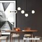 Griestu piekaramā lampa + led spuldzes цена и информация | Lustras | 220.lv