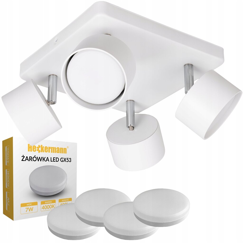 Griestu lampa, Heckermann цена и информация | Griestu lampas | 220.lv
