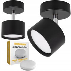 Heckermann griestu lampa цена и информация | Потолочные светильники | 220.lv