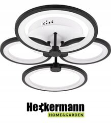 Heckermann griestu lampa цена и информация | Потолочный светильник | 220.lv
