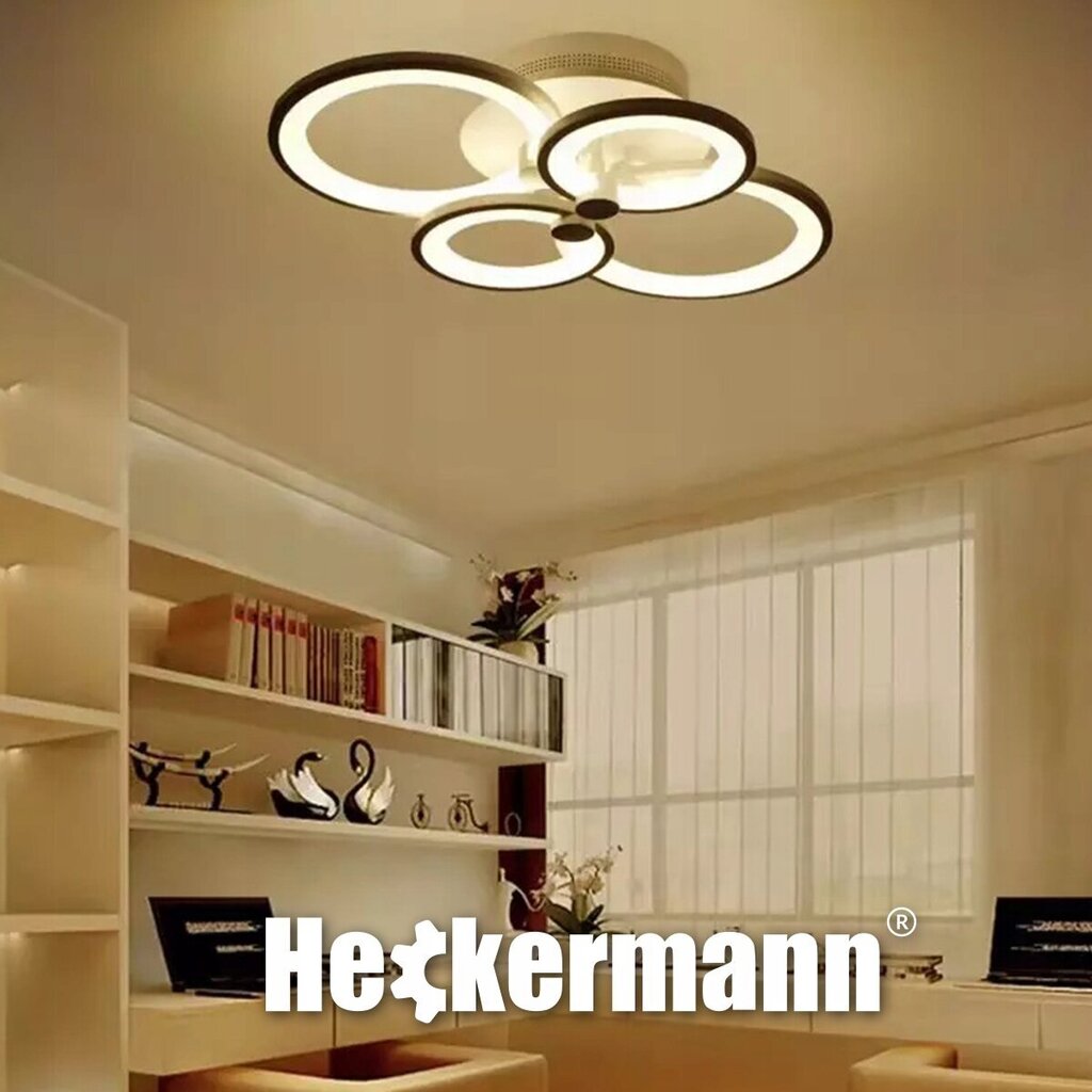 Heckermann griestu lampa cena un informācija | Griestu lampas | 220.lv