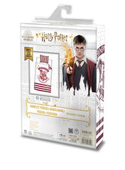 Комплект детского постельного белья Harry Potter, 160x200 см, 2 части цена и информация | Детское постельное бельё | 220.lv