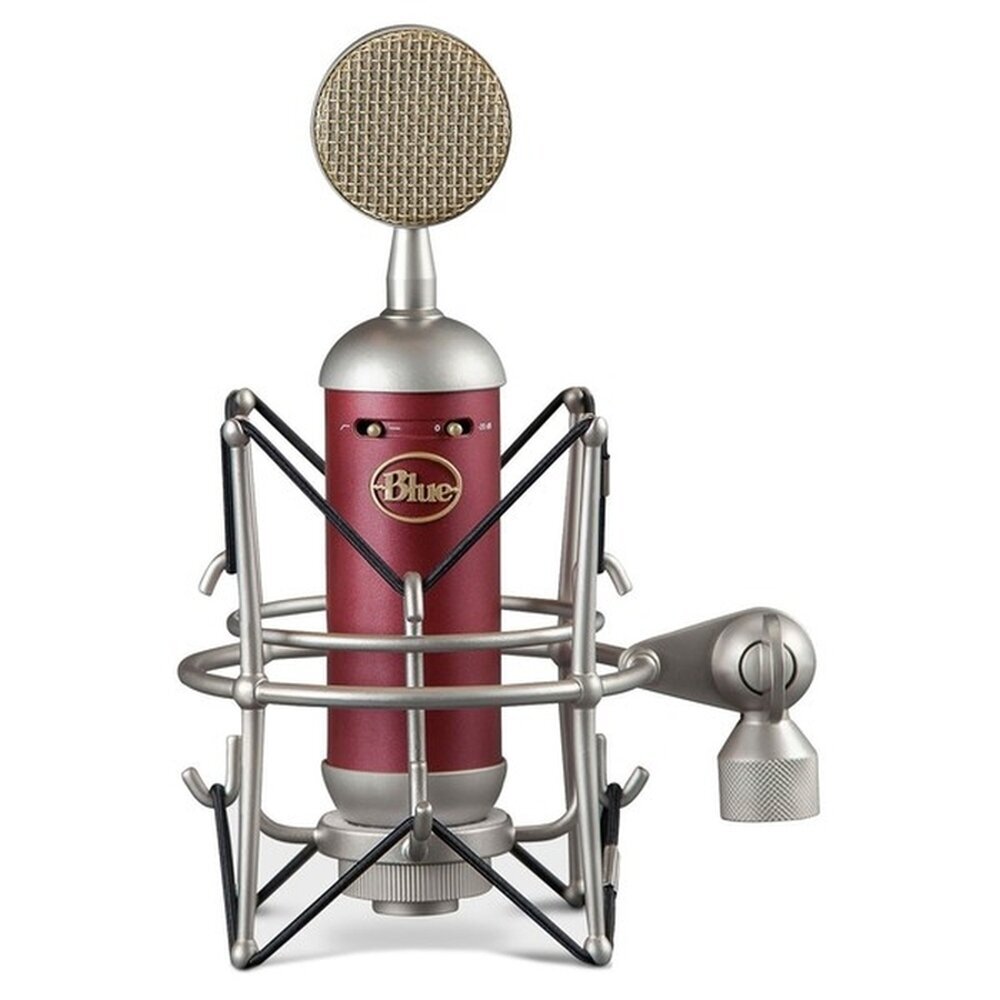 Mikrofonas Blue Microphones Spark SL cena un informācija | Mikrofoni | 220.lv