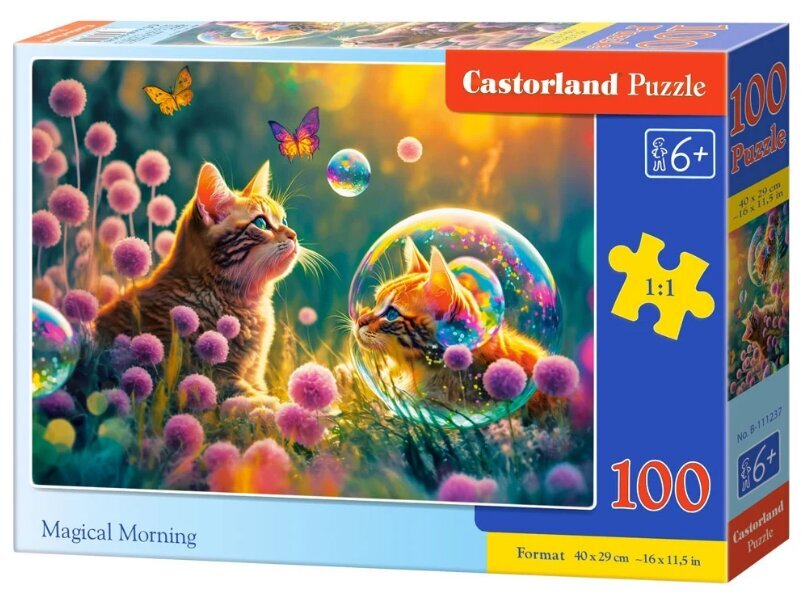 Puzle Castorland Magic Morning, 100 d. цена и информация | Puzles, 3D puzles | 220.lv