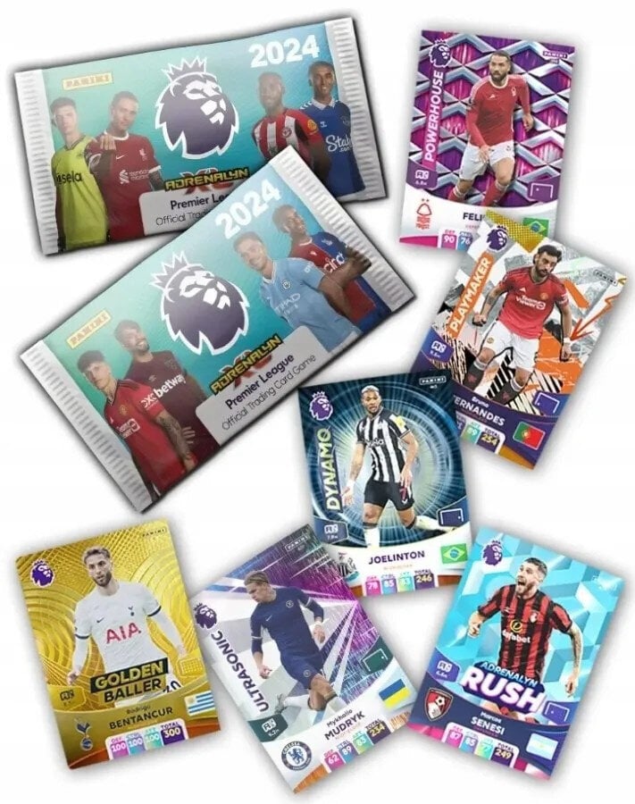 Megaset starta albums + Panini kartes Premiere League 2024 cena un informācija | Kolekcionējamas kartiņas | 220.lv