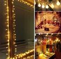 Ziemassvētku vītne, 100xLED, 20m cena un informācija | Ziemassvētku lampiņas, LED virtenes | 220.lv