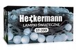 Ziemassvētku vītne, 100LED, 20 m cena un informācija | Ziemassvētku lampiņas, LED virtenes | 220.lv