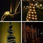 Ziemassvētku vītne, 100LED, 12m cena un informācija | Ziemassvētku lampiņas, LED virtenes | 220.lv