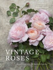 Vintage Roses: Beautiful varieties for home and garden cena un informācija | Grāmatas par dārzkopību | 220.lv