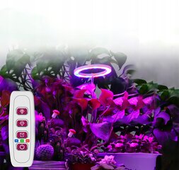 4x led augu audzēšanas lampa sarkanā krāsā цена и информация | Проращиватели, лампы для растений | 220.lv
