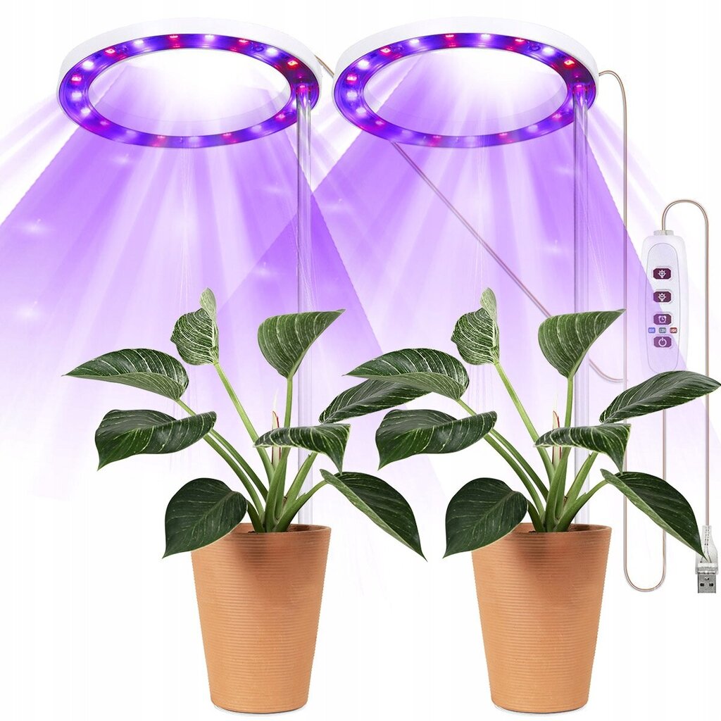 4x led augu audzēšanas lampa sarkanā krāsā cena un informācija | Diedzēšanas trauki, augu lampas | 220.lv