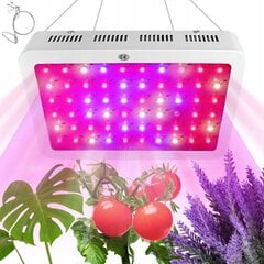 Augu audzēšanas lampas 100x led 1500w цена и информация | Проращиватели, лампы для растений | 220.lv