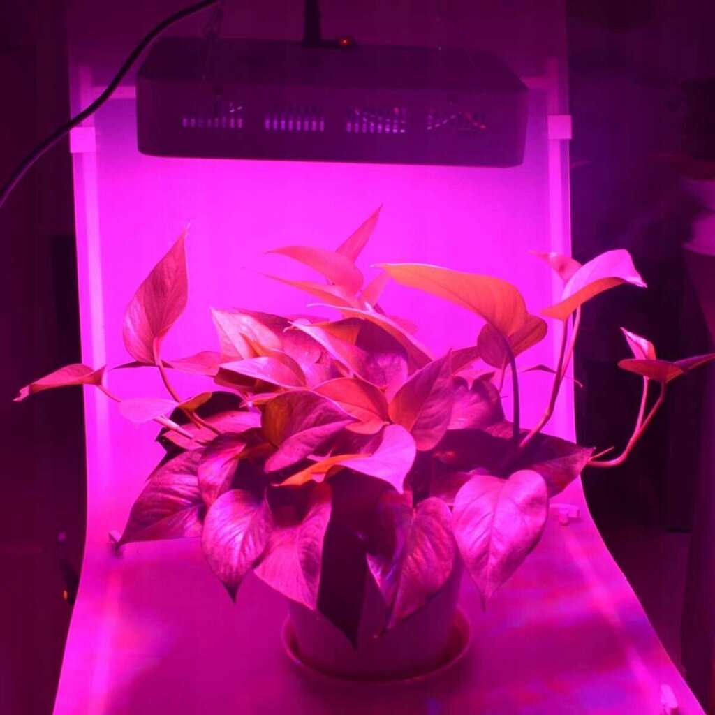 Augu audzēšanas lampas 100x led 1500w cena un informācija | Diedzēšanas trauki, augu lampas | 220.lv
