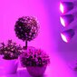 3 spuldžu augu audzēšanas lampa 120led + skava cena un informācija | Diedzēšanas trauki, augu lampas | 220.lv