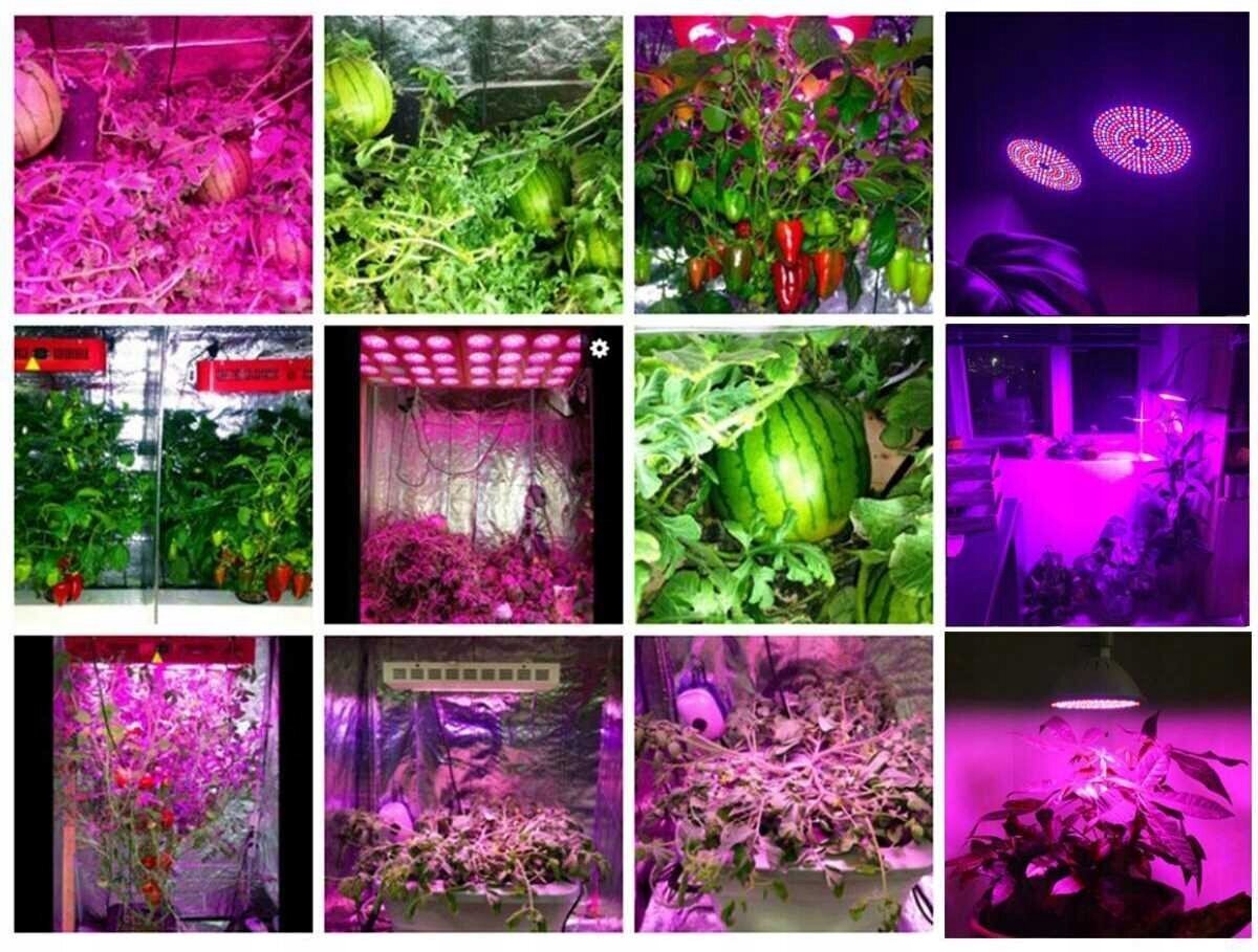 3 spuldžu augu audzēšanas lampa 120led + skava цена и информация | Diedzēšanas trauki, augu lampas | 220.lv