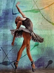 Glezna pēc numuriem ar rāmi TM Varvikas - Graceful ballerina ME1158e 30x40 cm cena un informācija | Gleznas pēc numuriem | 220.lv