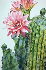 Glezna pēc numuriem ar rāmi TM Varvikas - Blossoming cactus MC1136e, 20x30 cm cena un informācija | Gleznas pēc numuriem | 220.lv