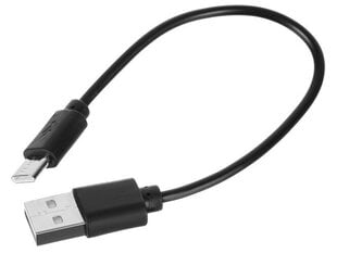 Плазменная USB электрическая зажигалка цена и информация | Зажигалки и аксессуары | 220.lv