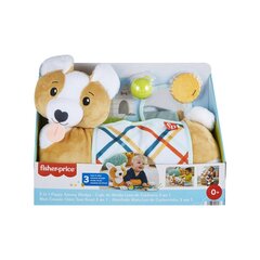 Rotaļlieta bērniem Fisher Price cena un informācija | Rotaļlietas zīdaiņiem | 220.lv