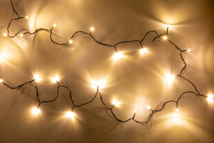 Vītne Prime Light, 100 Led, 10 m cena un informācija | Ziemassvētku lampiņas, LED virtenes | 220.lv
