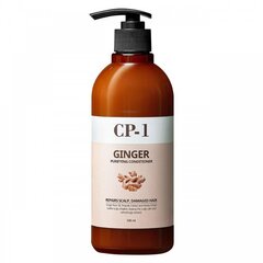 CP-1 Ginger Очищающий кондиционер для волос с имбирем 500мл цена и информация | Бальзамы, кондиционеры | 220.lv