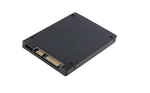 CoreParts P3-256T цена и информация | Внутренние жёсткие диски (HDD, SSD, Hybrid) | 220.lv