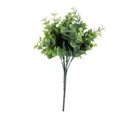 Mākslīgais augs H30cm, eikalipts, maisījums cena un informācija | Mākslīgie ziedi | 220.lv