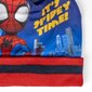 Cepure un cimdi Spiderman cena un informācija | Cepures, cimdi, šalles zēniem | 220.lv
