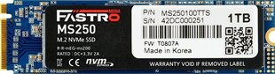 MegaFastro MS250 (MS250100TTS) цена и информация | Внутренние жёсткие диски (HDD, SSD, Hybrid) | 220.lv