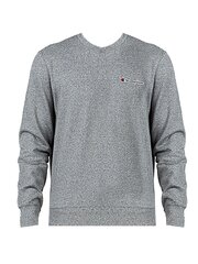 Champion Толстовка с капюшоном - 214781 - Серый  regular fit 214781 цена и информация | Мужские толстовки | 220.lv