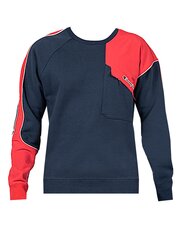 Champion džemperis vīriešiem 216555, zils цена и информация | Мужские толстовки | 220.lv