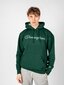 Champion džemperis vīriešiem HBGF89H586N9A, zaļš cena un informācija | Vīriešu jakas | 220.lv