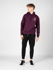 Champion Толстовка с капюшоном Hoodie - HBGF89H586NKA - Фиолетовый  regular fit HBGF89H586NKA цена и информация | Мужские толстовки | 220.lv