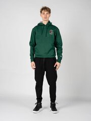 Champion Толстовка с капюшоном Hoodie - HBGF89H586NKA - Зеленый  regular fit HBGF89H586NKA цена и информация | Мужские толстовки | 220.lv