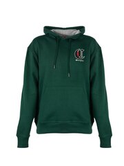 Champion džemperis vīriešiem HBGF89H586NKA, zaļš cena un informācija | Vīriešu jakas | 220.lv